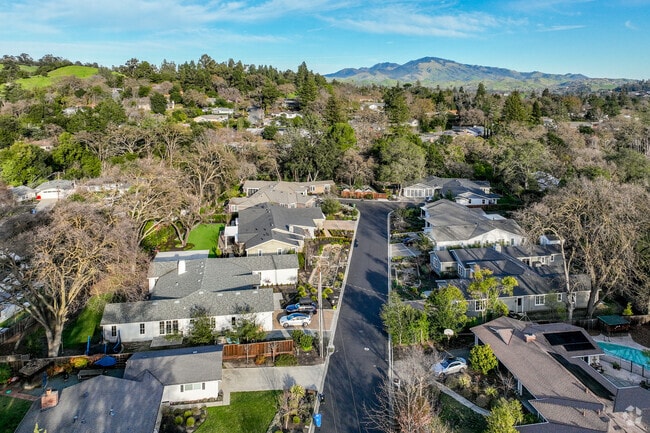 Coast Live Oak and California Buckeye trees are common along sidewalks and in front yards in Peardale Estates.