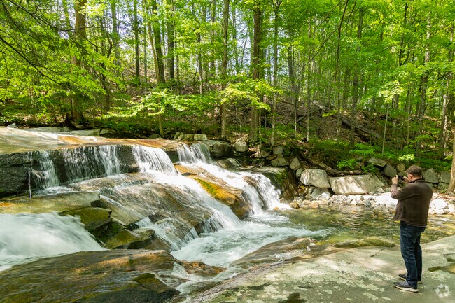 Old Jelly Mill Falls in Dummerston offers a peaceful cascade tucked into the woods, perfect for quiet reflection and scenic beauty.