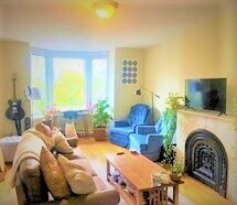 209 W Newton St unit P-Duplex, Boston, MA 02116 - photo 1