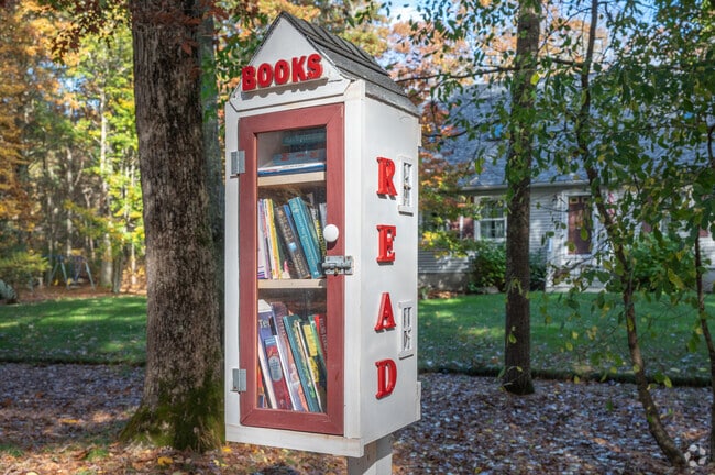 Pick up a book from one of the little libraries scattered throughout Freetown.