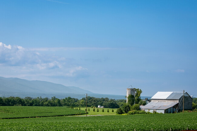 26-web-or-mls-Overbrook Neighborhood-2.jpg