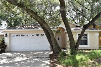 13418 Bellingham Dr, Tampa, FL 33625