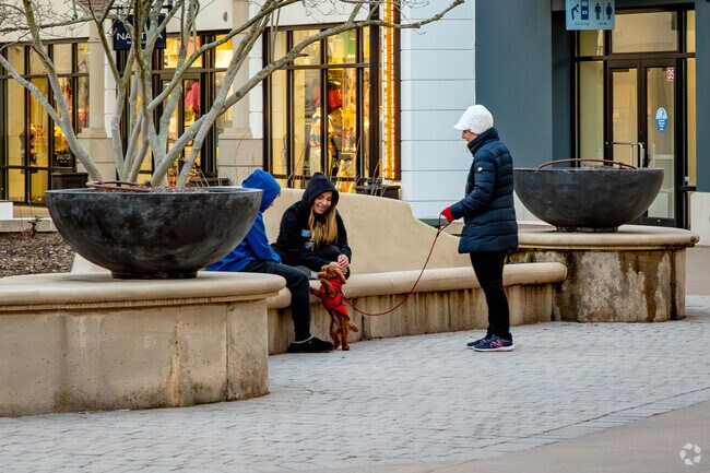 The Tanger Outlets in Deer Park is an outdoor mall where you bring your dog.