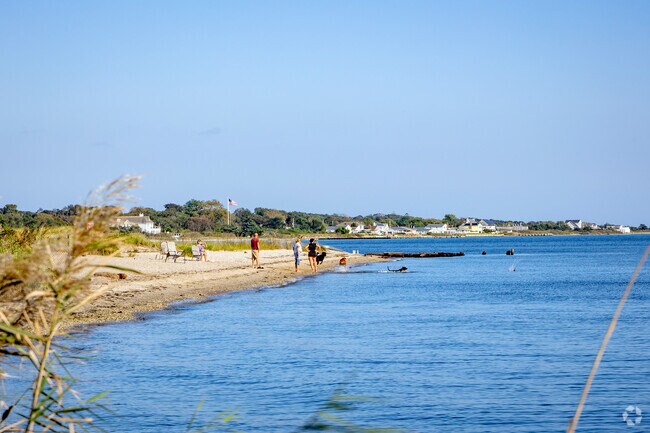 Enjoy a day at the beach at Mud Creek Dog Park.