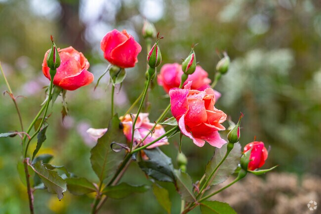 There's a great amount of natural beauty in Daugherty Township.