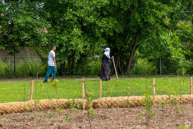Enjoy a stroll at the pocket park at Jayne-Lasky Park in Buffalo Charles.