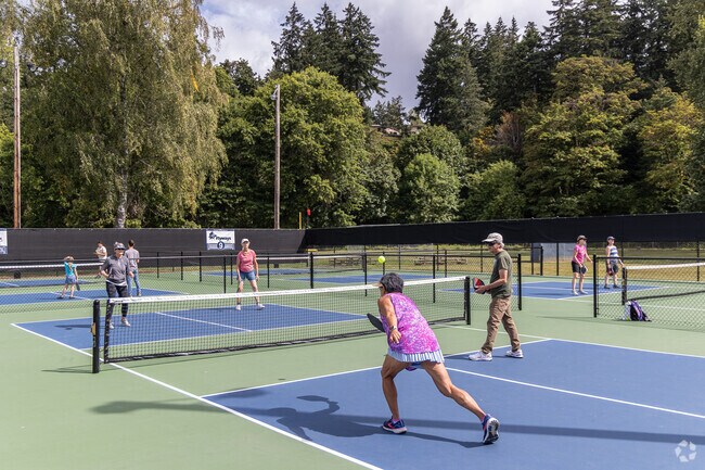 John Hull Park offers pickleball courts for both casual and competitve players.