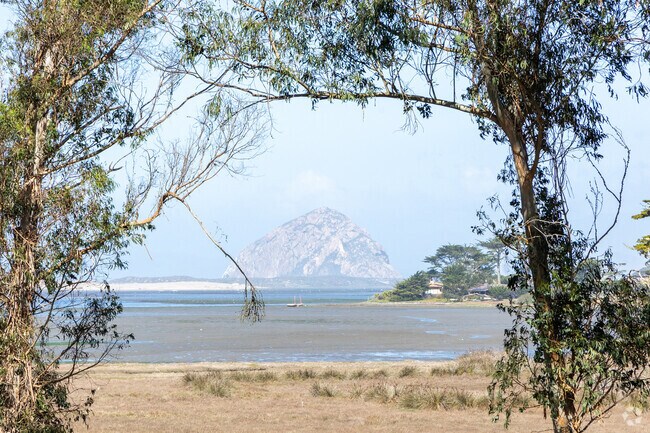 There is always a view of Morro Rock no matter where you are in Los Osos.