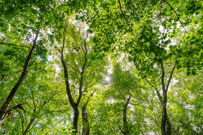 Locals from Barry can visit Senator James J. Rhodes Nature Trail for a fun hike.