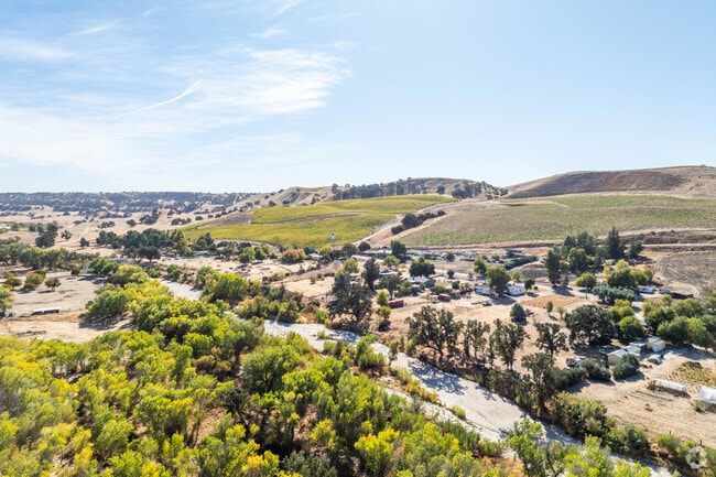 Vineyards surround Whitley Gardens.