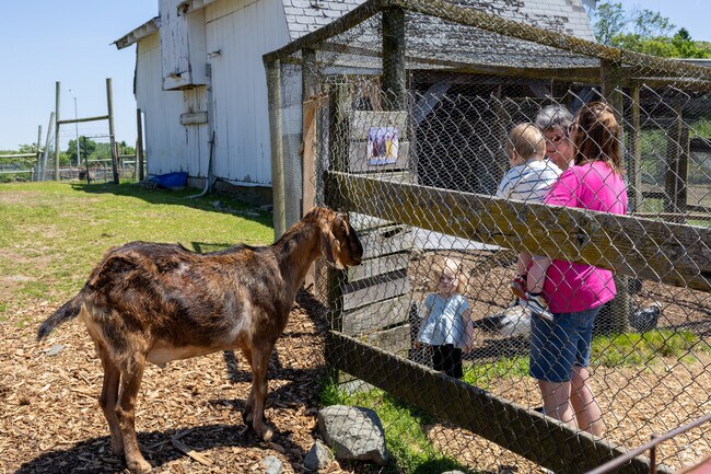 Feed the happy goats at Brooksby Farm nearby Peabody Town Center.
