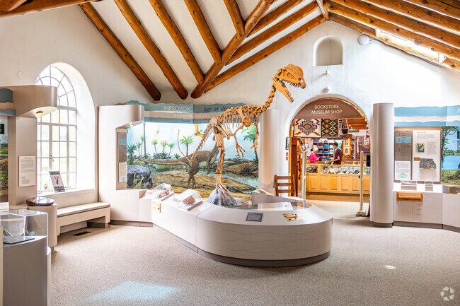 The Museum of Northern Arizona is a great place to see the history in the area of Cheshire.