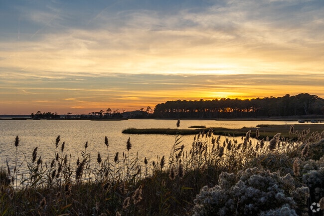 Enjoy living near constant natural beauty in Selbyville.