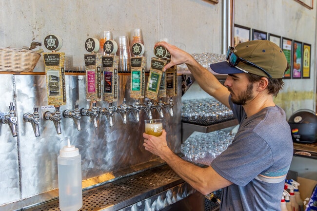 New Terrain Brewing Company crafts high quality, unique, exploratory beers.