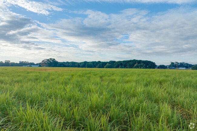 Pilette has beautiful open spaces and grassy green vistas in Lafayette.