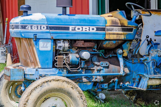 A well-used Ford tractor finds retirement in Frazier Marsh.