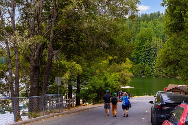 Enjoy time on or near the water at Loch Lomond Recreation Area.