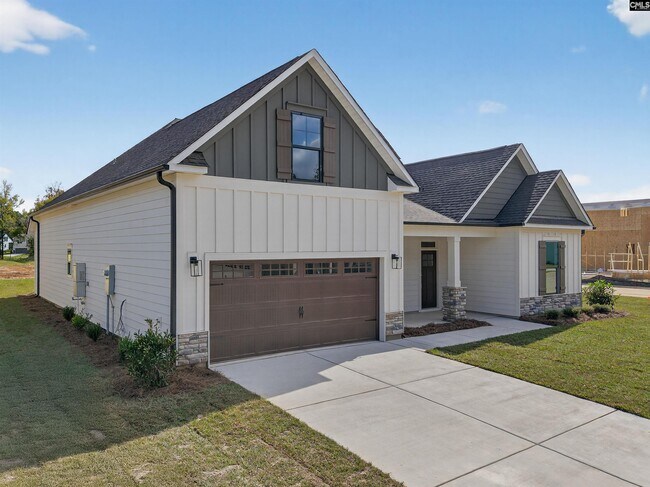 293 Murray Falls Ln, Chapin, SC 29036 - photo 4