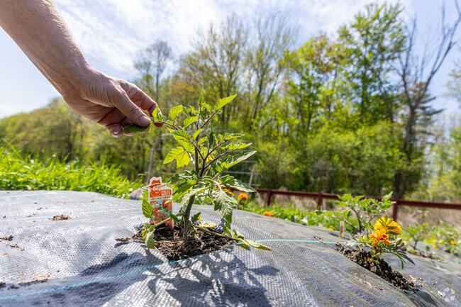 The historic Tattersall Farm has a community garden and more north of Haverhill, MA near the Ayer Village neighborhood.