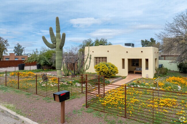 Tall saguaro cacti stand strong in Hedrick Acres yards.