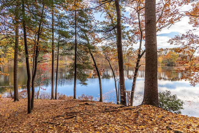 Pine Island Park is located on the shores of Pine Island Pond.