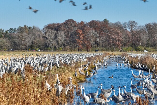 Residents of Gillam enjoy bird watching at the Sandhill Crane Observation Area.