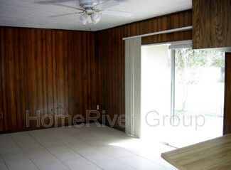 3415 Little Oak St, Valrico, FL 33596