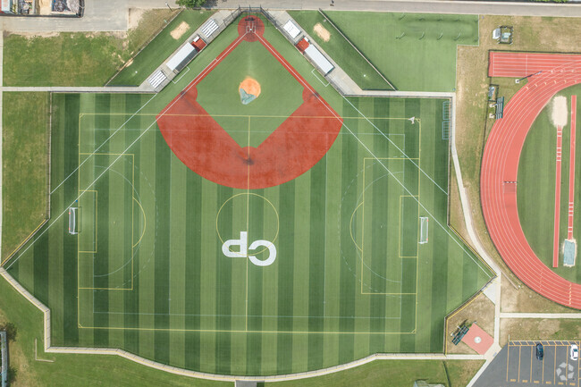 Carle Place High School's baseball team calls themselves the Carle Place Frogs.