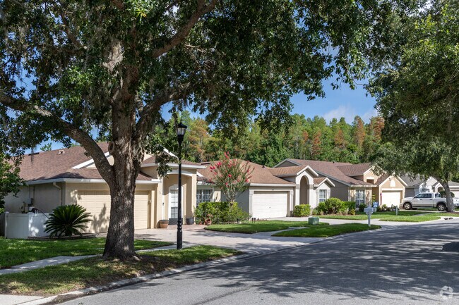 Tucked behind shaded trees, homes in Lexington Oaks offer calm streets and cozy living.