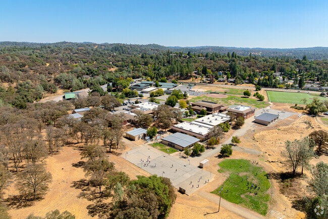 Magnolia School is surrounded by mature trees.