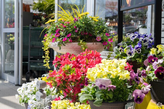 As you ride around the neighborhood you will see many colorful flowers bloom throughout spring.