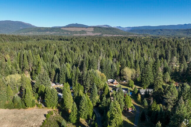 The Prospect neighborhood surrounded by beautiful trees.