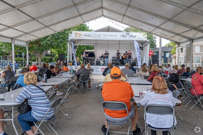 Come feel like a kid again the Festival of the Vine celebration in downtown Geneva.