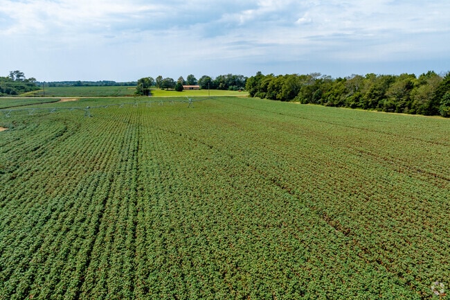 Harvest truly lives up to its name with a large amount of beautiful farmland.