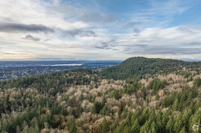 Cougar Mountain Regional Wildland Park near Lake Kathleen-High Valley has scenic views.
