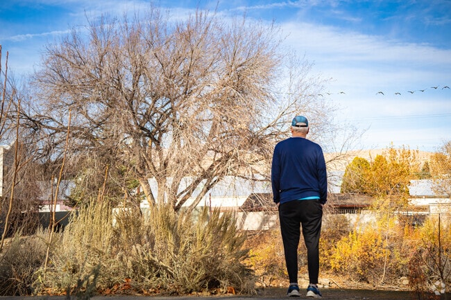 Runners, joggers, and walkers love the paved trails throughout Stead and neighboring areas.