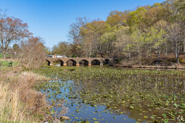 Foxhill Park in Tulip Grove is a beautiful sight.