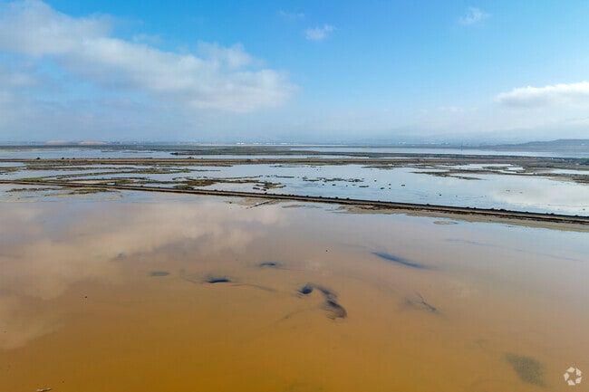 Locals can explore more of the San Francisco Bay Salt Ponds in Alviso.