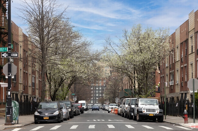 Cherry blossoms brighten Melrose streets in spring.