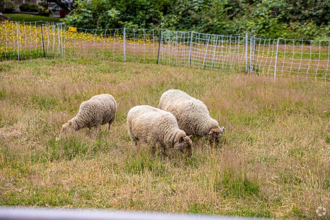 Aberdeen Garden's rural vibe is very evident everywhere you go.