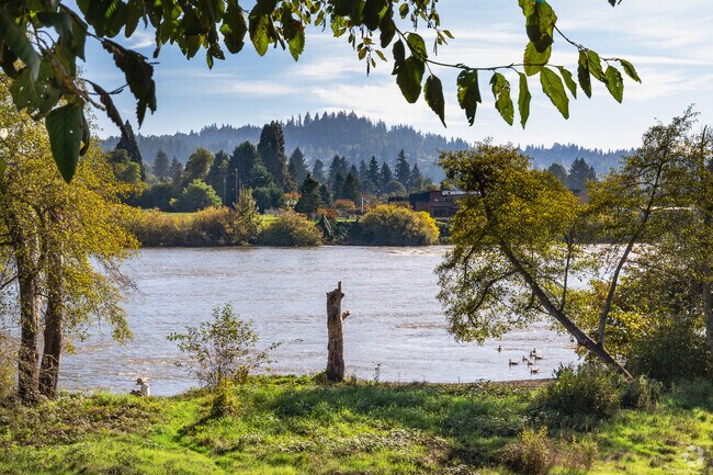 Reading by the Willamette River is a favorite pastime in West Springfield.