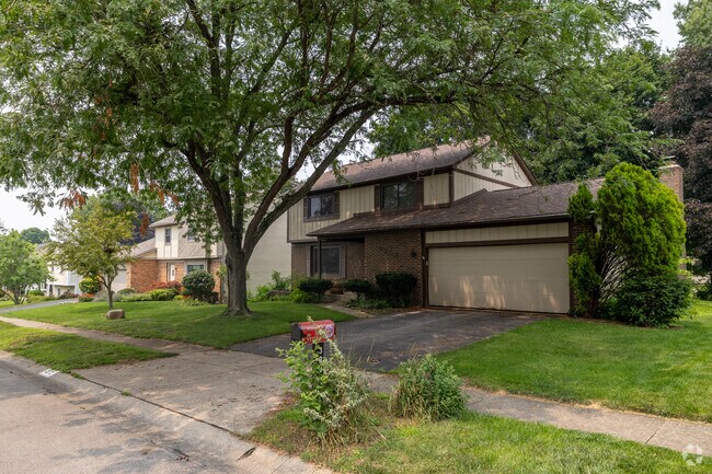 This massive tree provides plenty of shade for this home and its neighbors in Riverside.