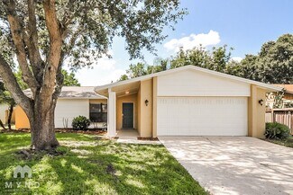 509 Bryan Valley Ct, Brandon, FL 33511