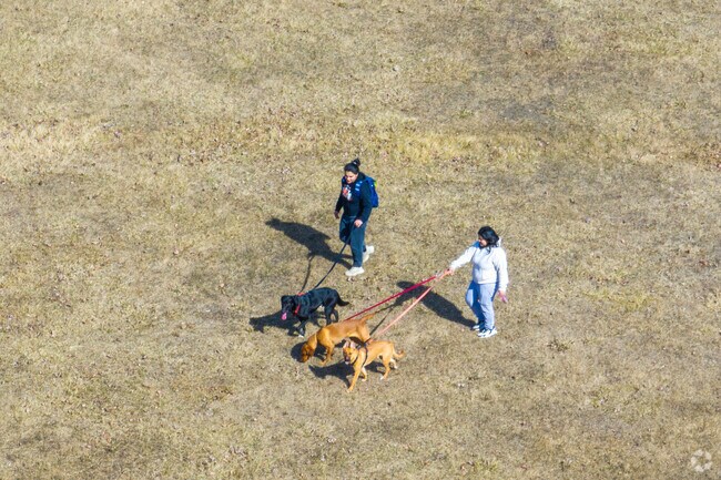 Harvey residents can take their dogs out at the nearby Dixmoor Playfield.