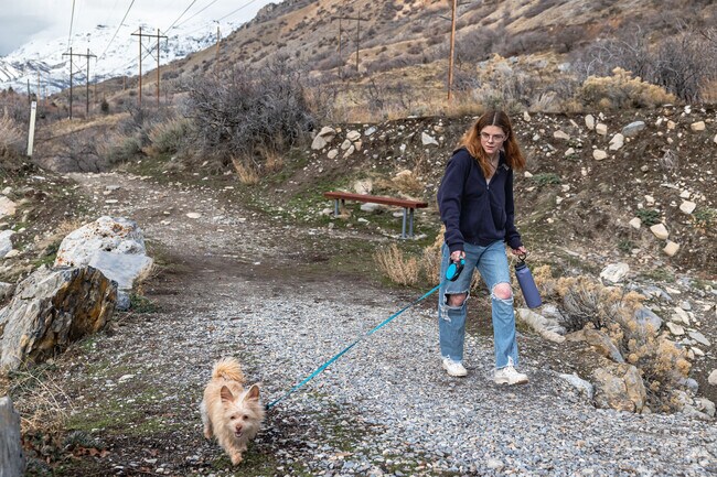 Rock Canyon Trail is ideal for hiking or dog walking, just minutes from Foot Hills homes.