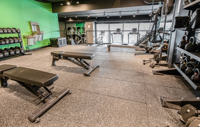 864 N Wabash Ave, Chicago, IL 60611 - photo 6