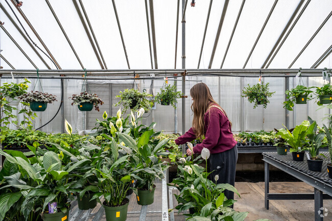 Upper Westside residents enjoy shopping the tropical plants at May's Floral Garden.