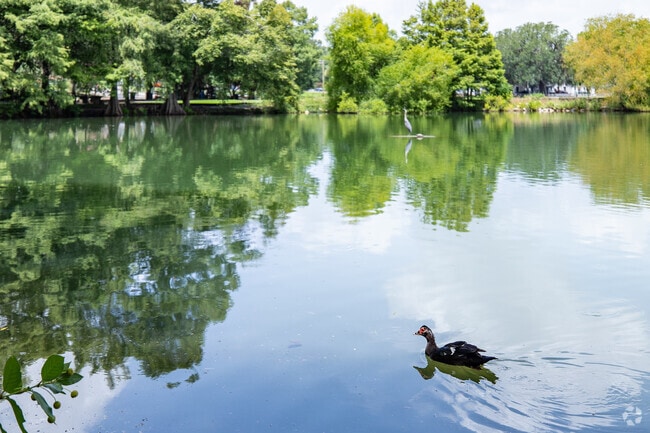 Live in a peaceful place in Gonvernor's Walk in Tallahassee.
