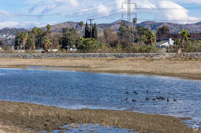 The San Gabriel River is a refuge and resource for wildlife.