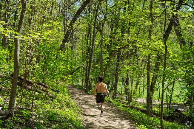 Hixon Forest is a popular park for those who enjoy being active.